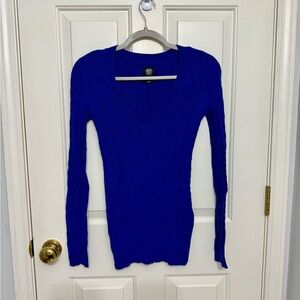 American Eagle Outfitters Royal Blue V-Neck Sweater